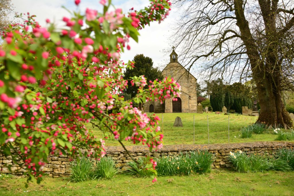 Grassy church yard with old fashioned chapel and flowers in foreground