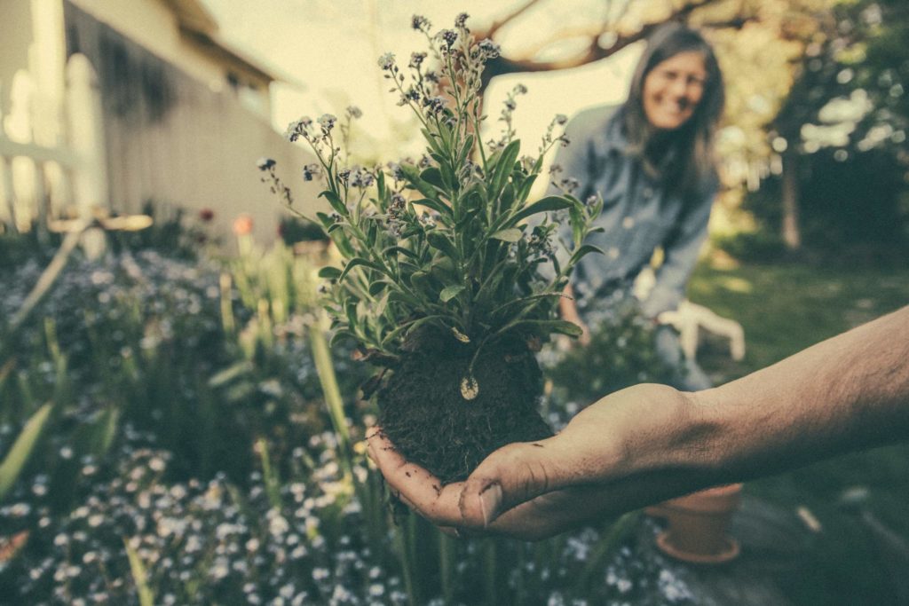 seedling help up under roots with smiling woman in the background