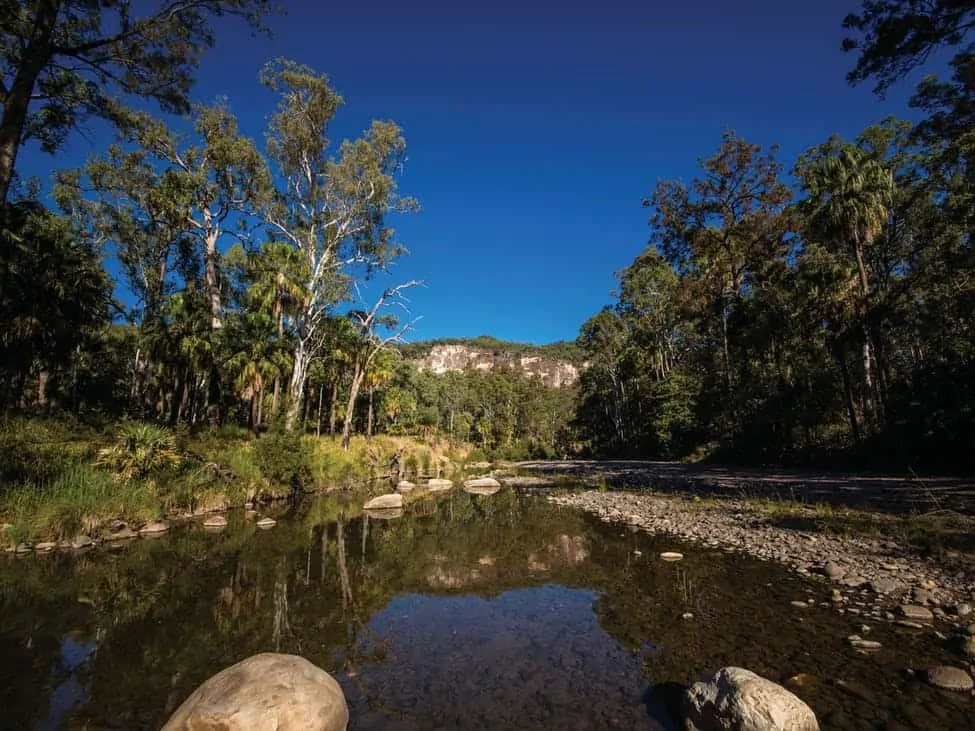 Carnarvon Gorge