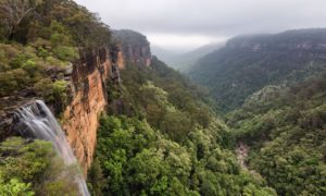 Fitroy falls through the mist