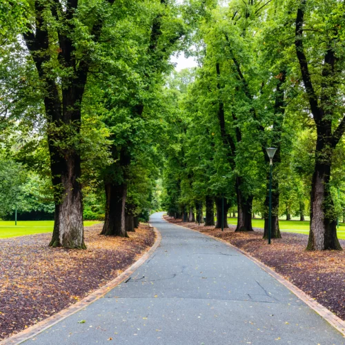 cheap things to do in Melbourne; fitzroy gardens | Swoosh Finance