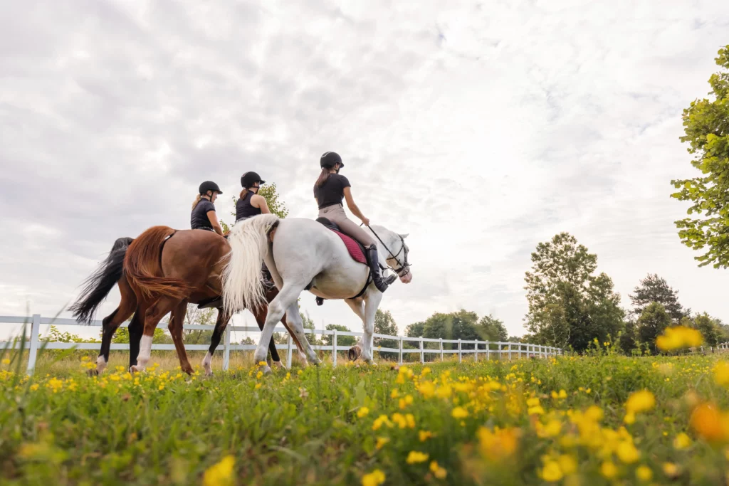 Horse riding tour | Swoosh Finance