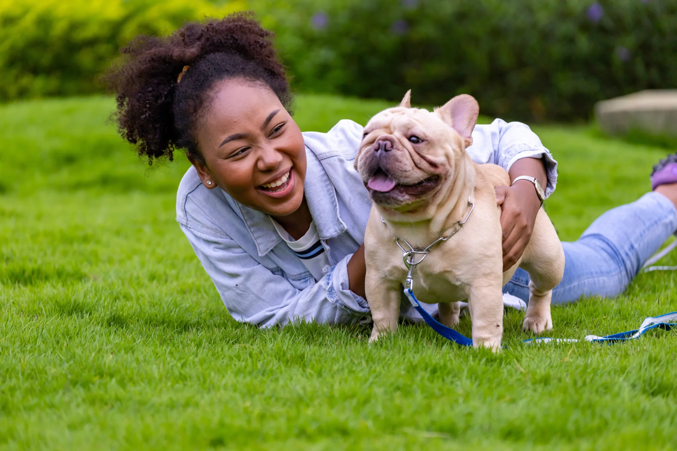 no spend weekend ideas: dote on your pet | Swoosh Finance