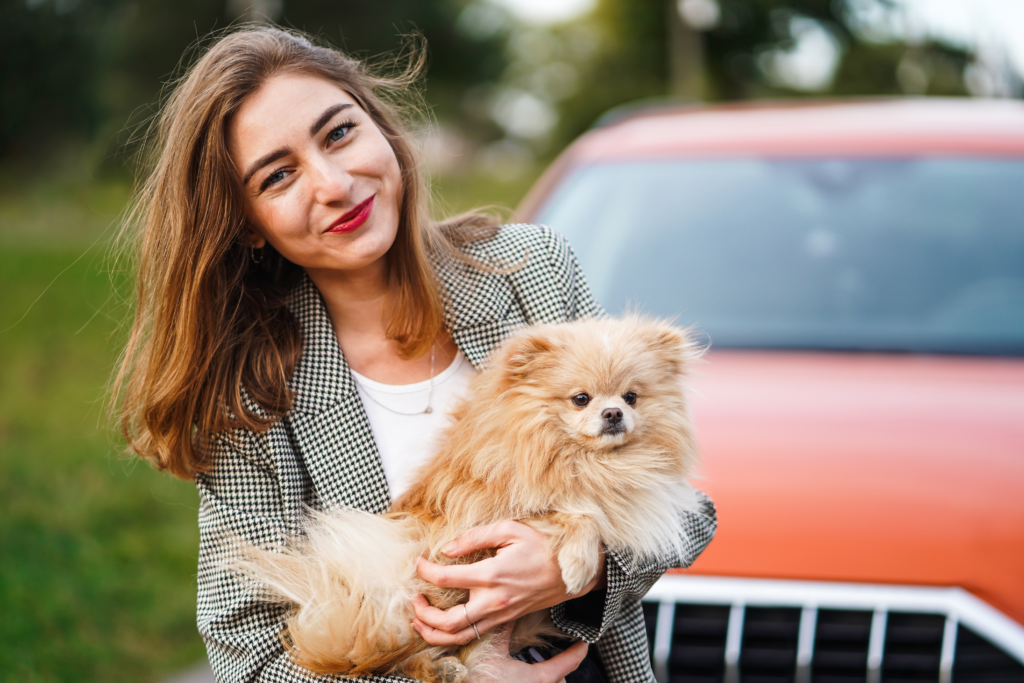 Vet Loans for veterinary bills | Swoosh Finance