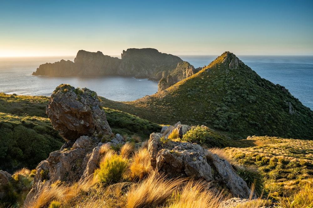 Budget-friendly holiday idea: Rakiura Stewart Island in New Zealand | Swoosh Finance