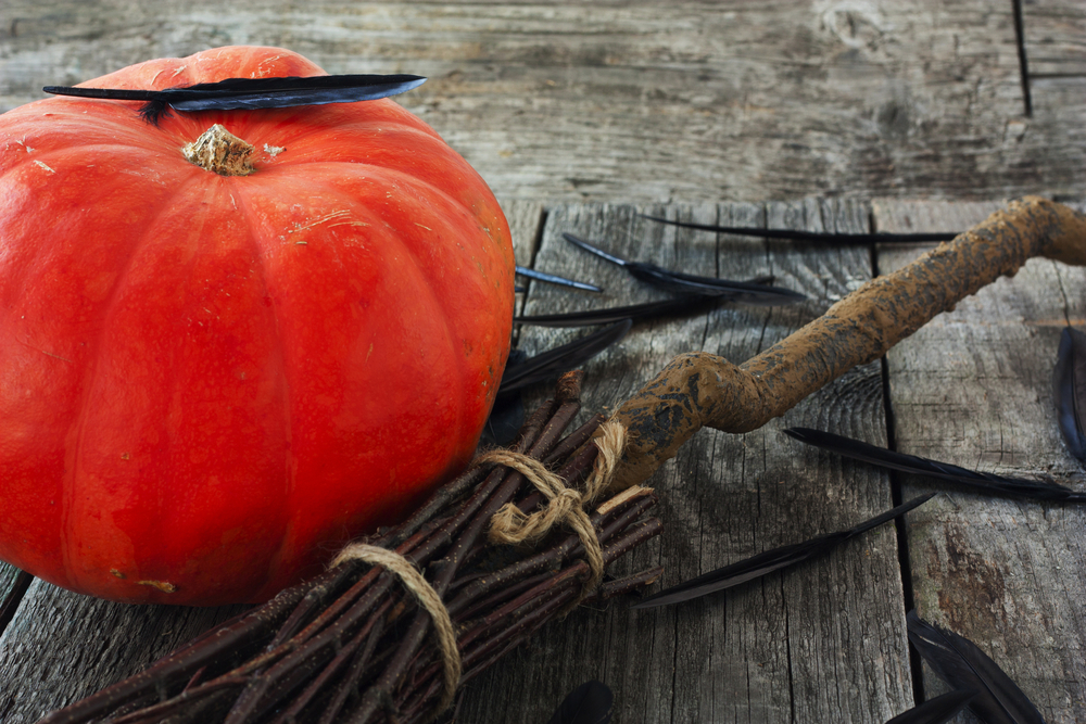 Witches broom on the floor with a pumpkin and crow feathers.