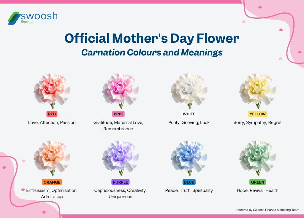 infographic of meanings of official Mother's Day flower, the carnation, and its colour variations: red, pink, white, yellow, orange, purple, blue and green