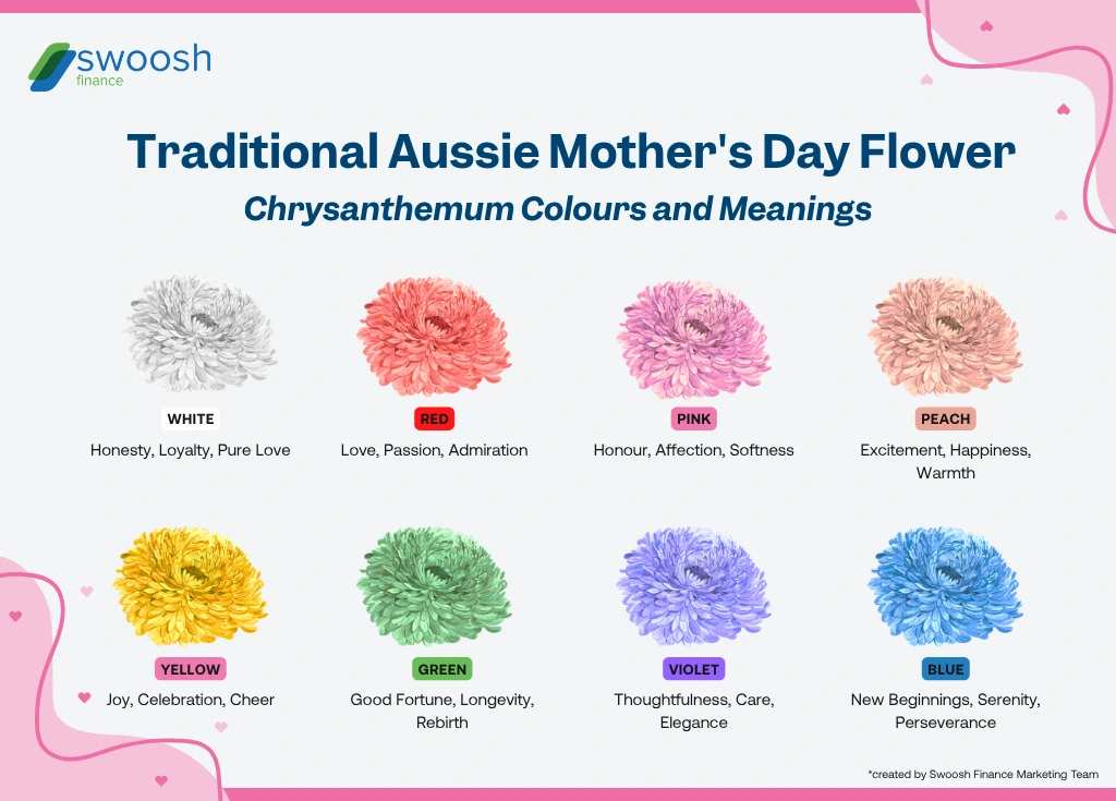 infographic of meanings of a traditional Australian Mother's Day flower, the chrysanthemum and its colour variations: white, red, pink, peach, yellow, green, purple, and blue