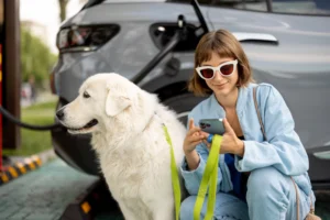 Get Help With Travel Costs to Work