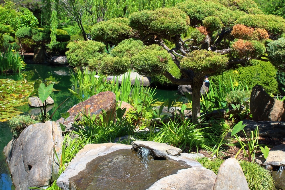 Japanese Gardens in Adelaide