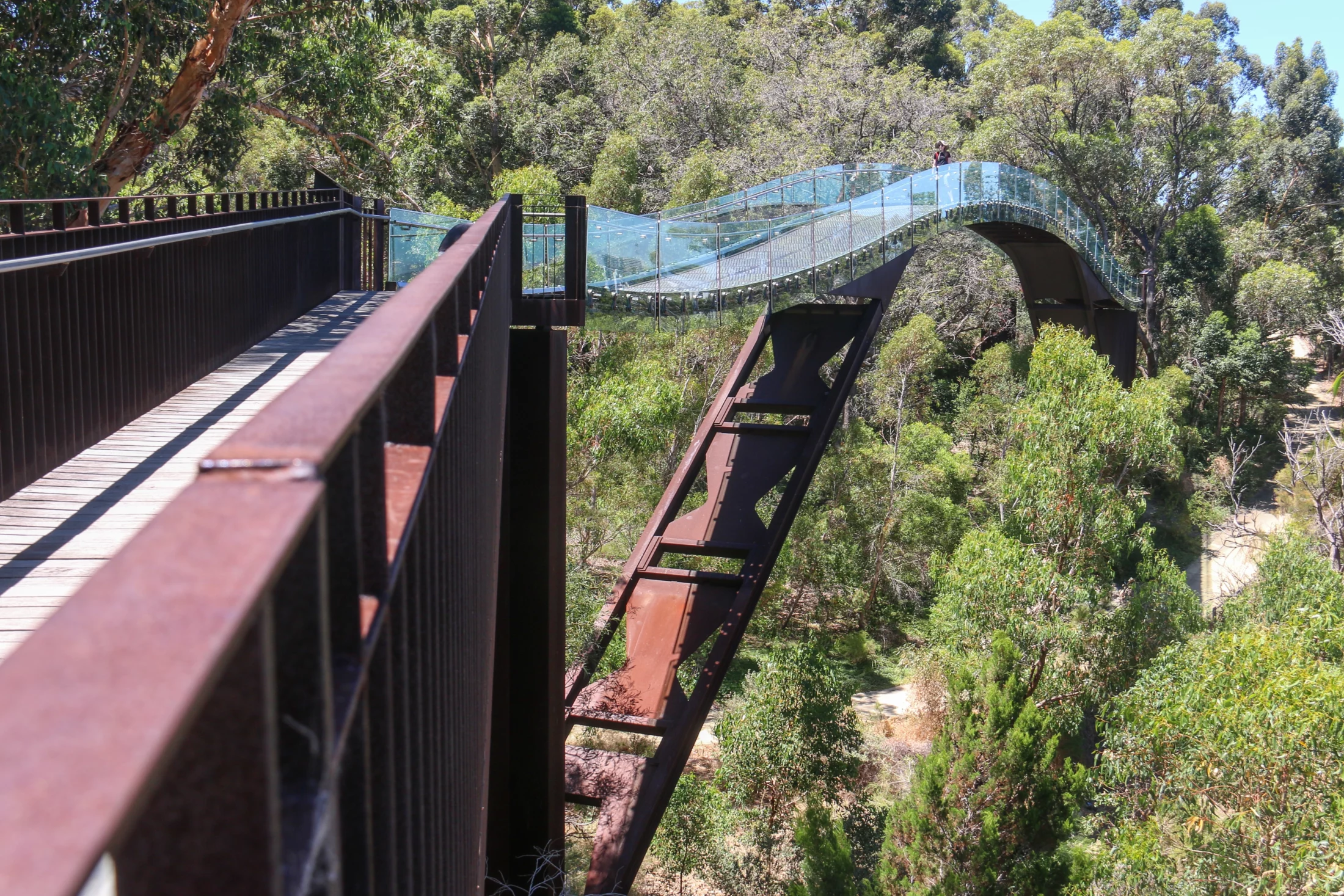 Kings Park and Botanic Garden bridge over the trees