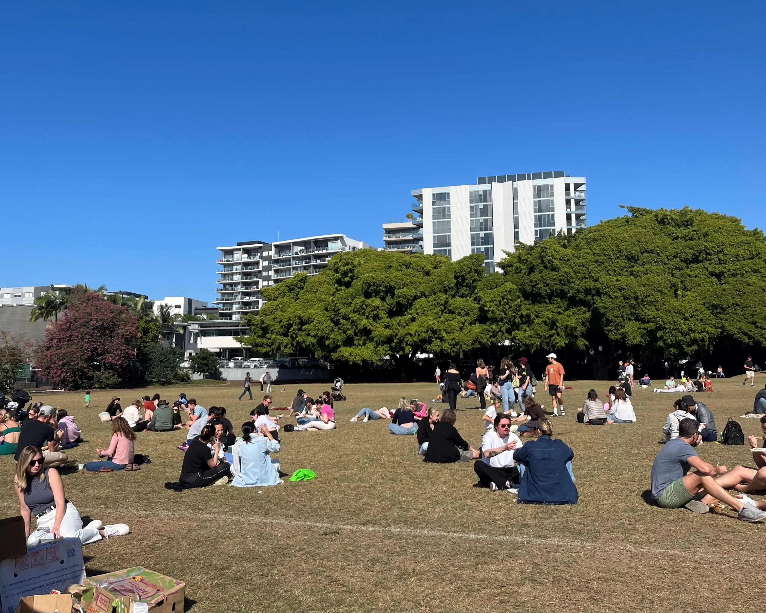 A lot of people having picnics in the Brisbane Park