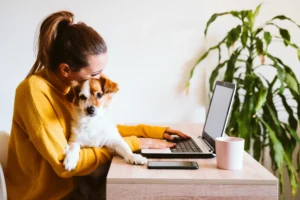 Working from home for your second job