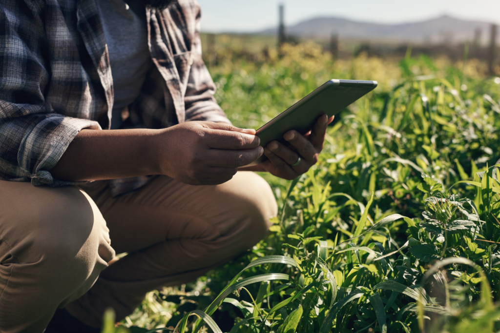 Person sitting outdoors uses a tablet to research financial assistance options