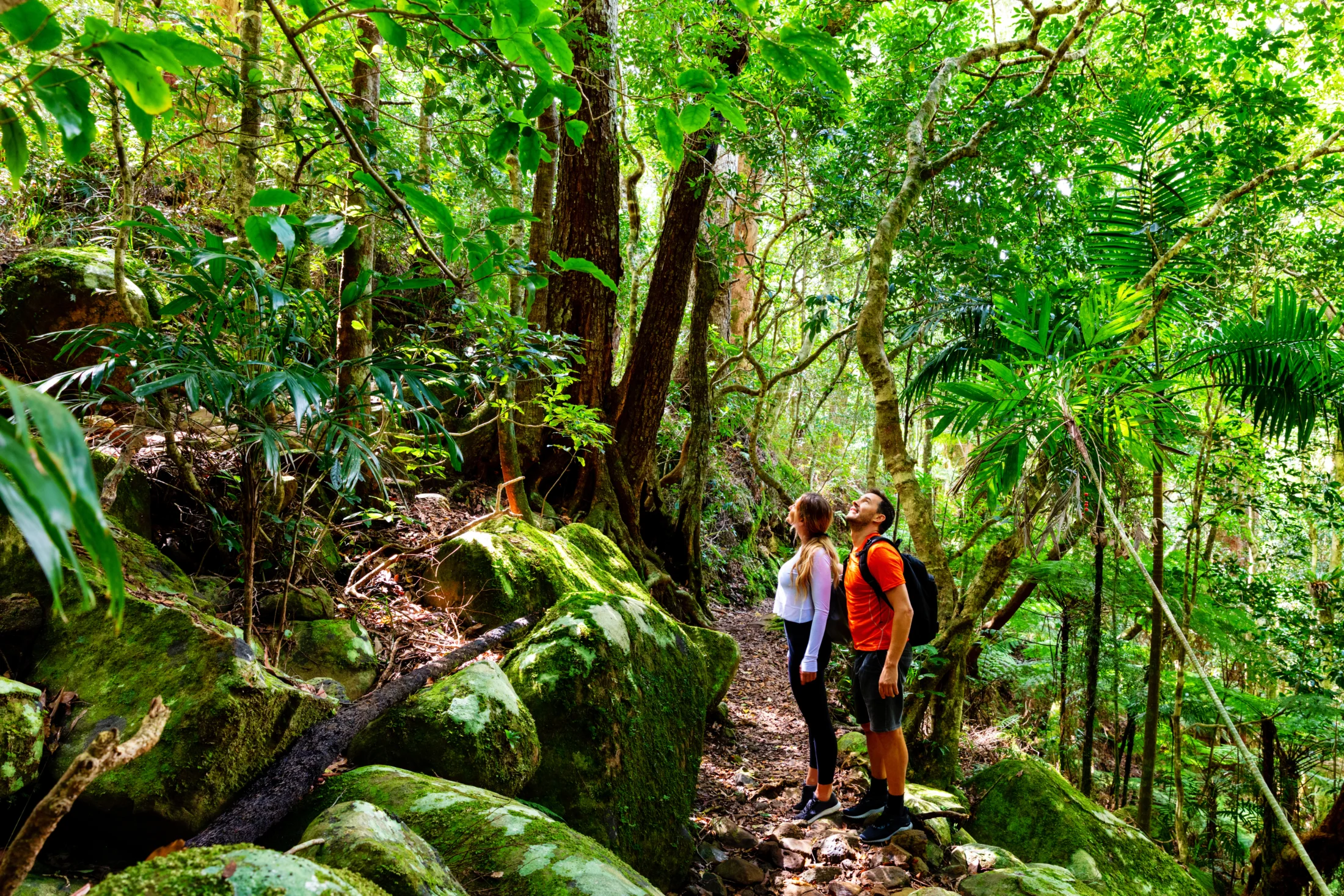 People on a rocky hiking trail surrounded by dense green forest in the Gold Coast Hinterland
