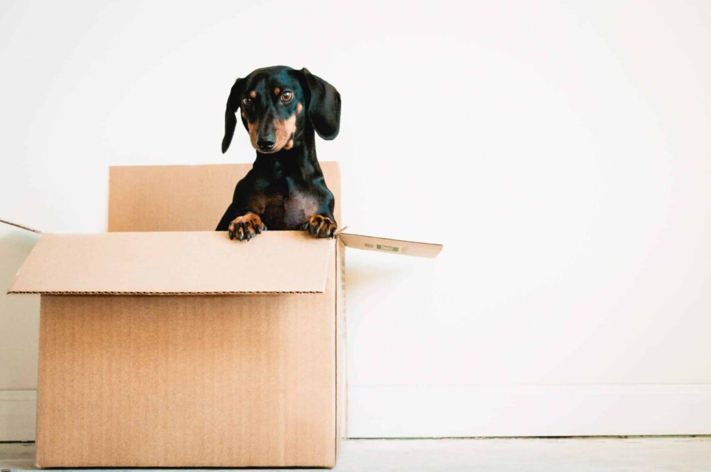quick cash loan for moving house