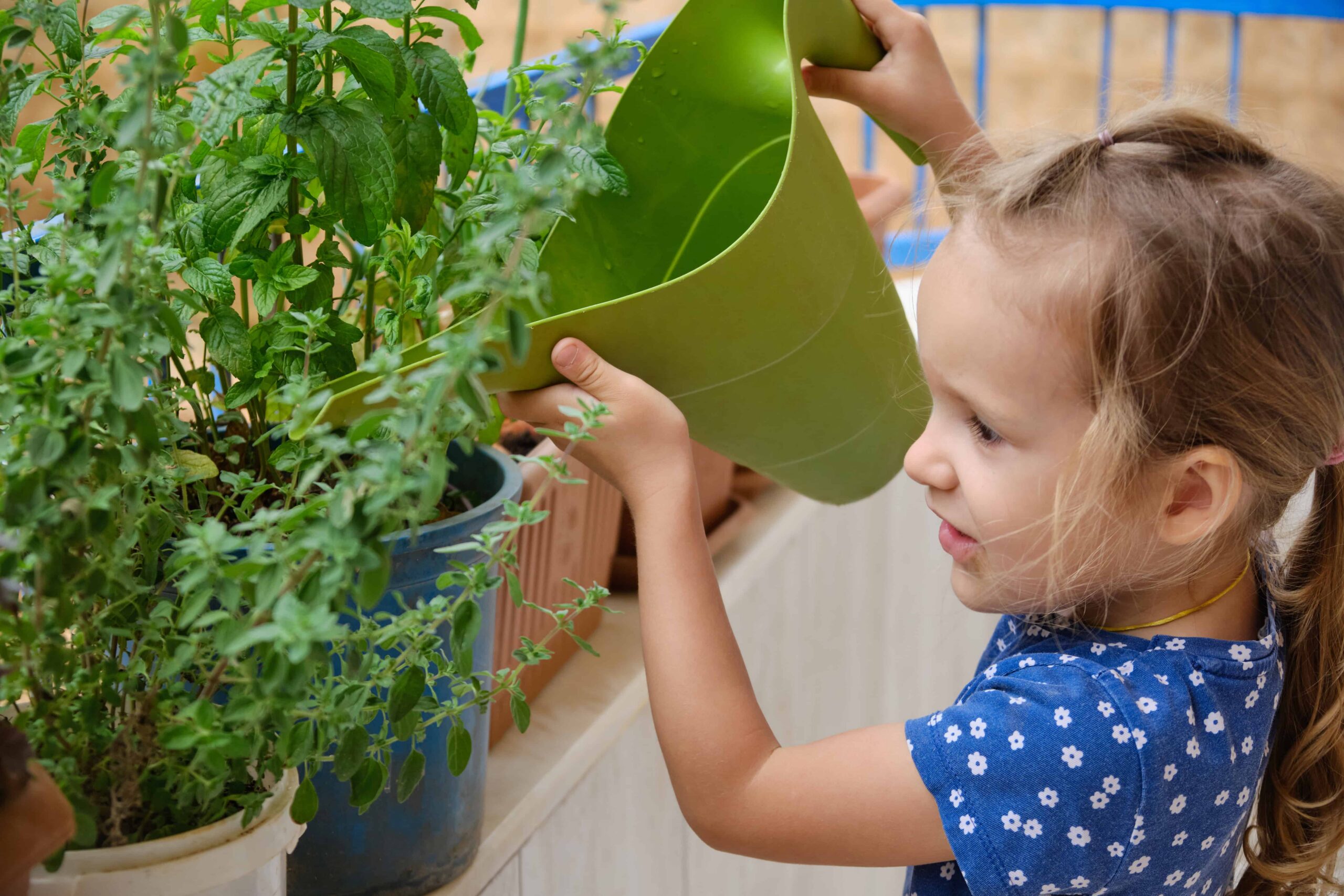 girl watering home grown vegetables to save money on groceries