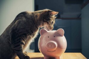 Cost of Pets