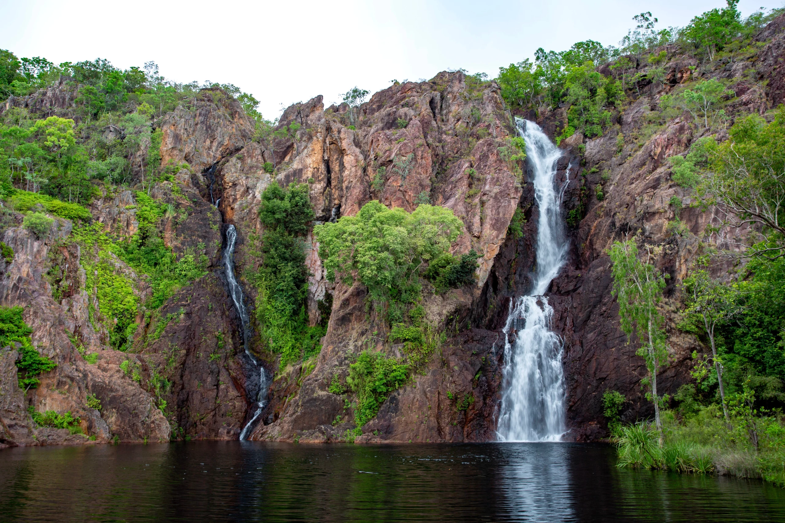 Tall waterfall cascading into a clear swimming hole at Litchfield National Park in the Northern Territory, surrounded by rocky cliffs and tropical greenery.