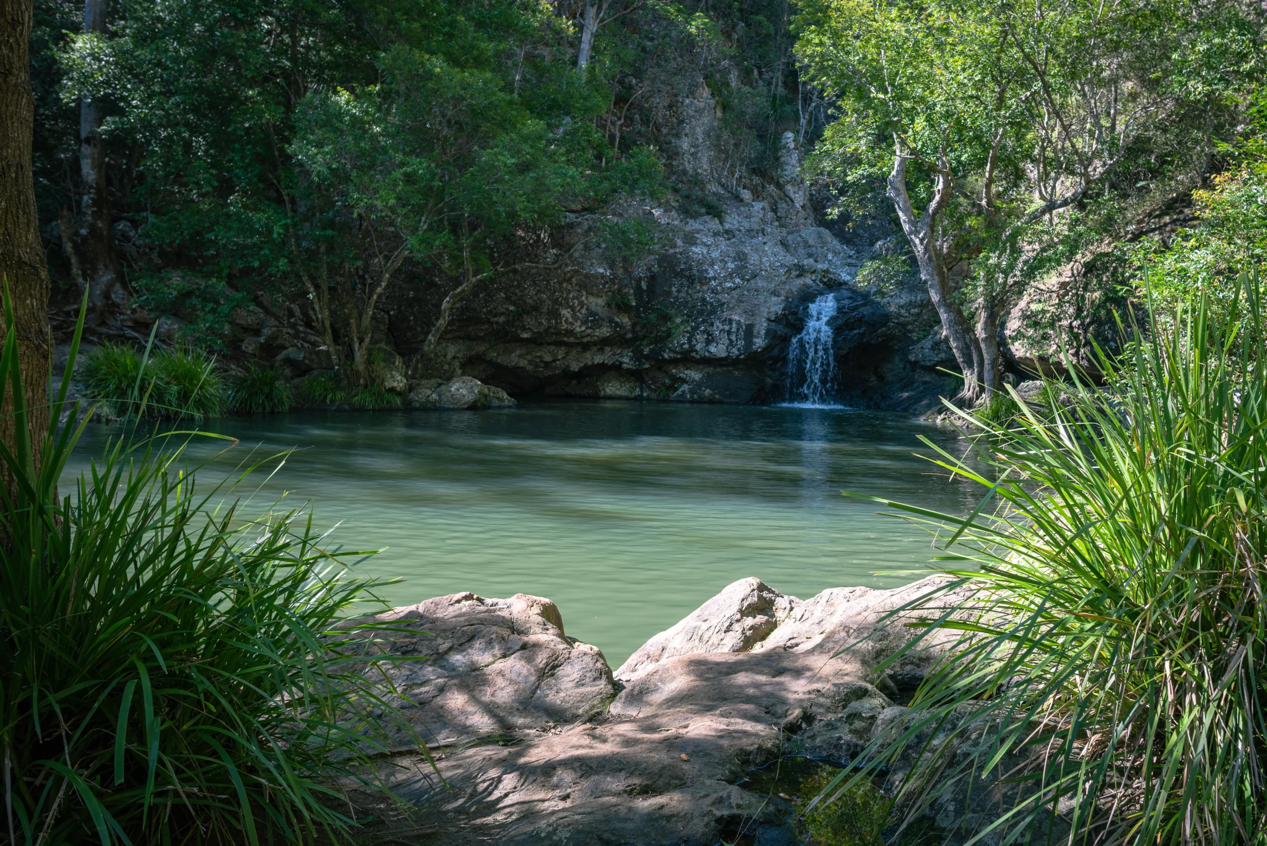 Peaceful freshwater swimming hole near Montville in Queensland, surrounded by lush rainforest vegetation and a small waterfall flowing into a calm pool.