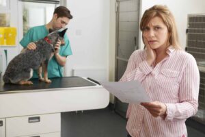 Help with Vet Bills