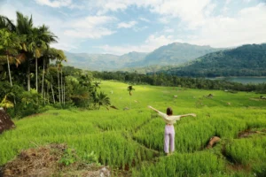 where to go for Christmas from Australia; sri lanka