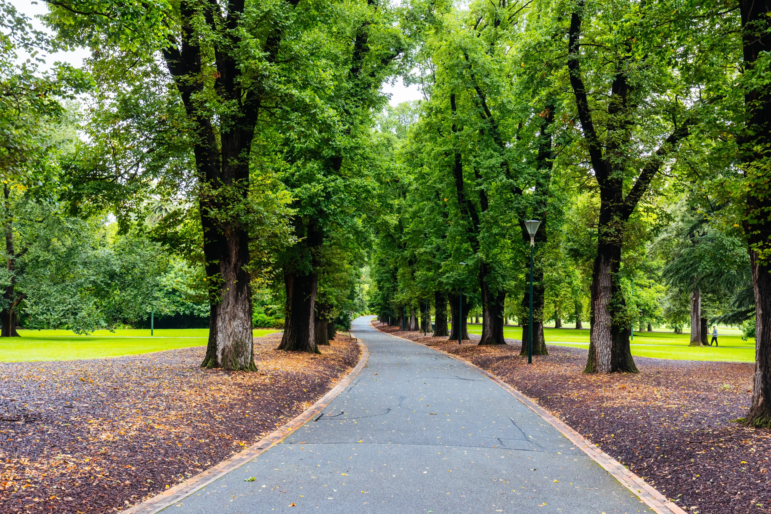 cheap things to do in Melbourne; fitzroy gardens