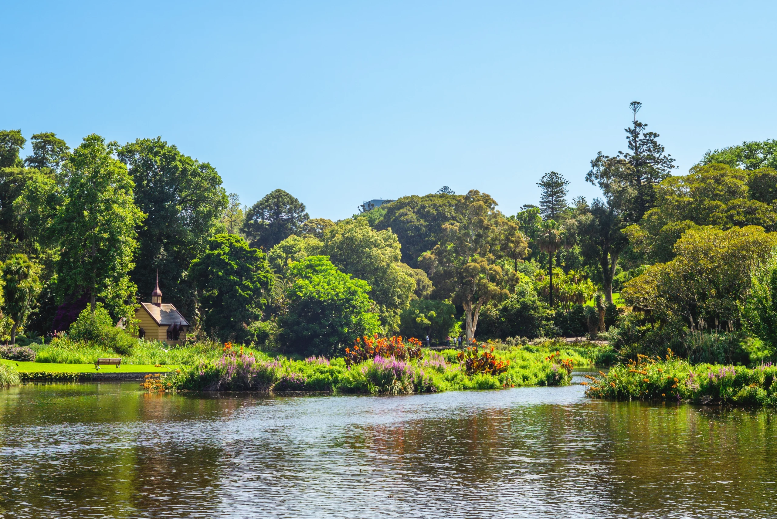 cheap things to do in Melbourne; royal botanic gardens victoria | Swoosh Finance